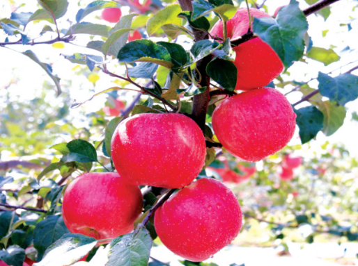 【直播預(yù)告】明日10:00第二屆甘肅·崇信發(fā)展大會暨“云招商”大會準(zhǔn)時開播! 【直播預(yù)告】明日10:00第二屆甘肅·崇信發(fā)展大會暨“云招商”大會準(zhǔn)時開播!