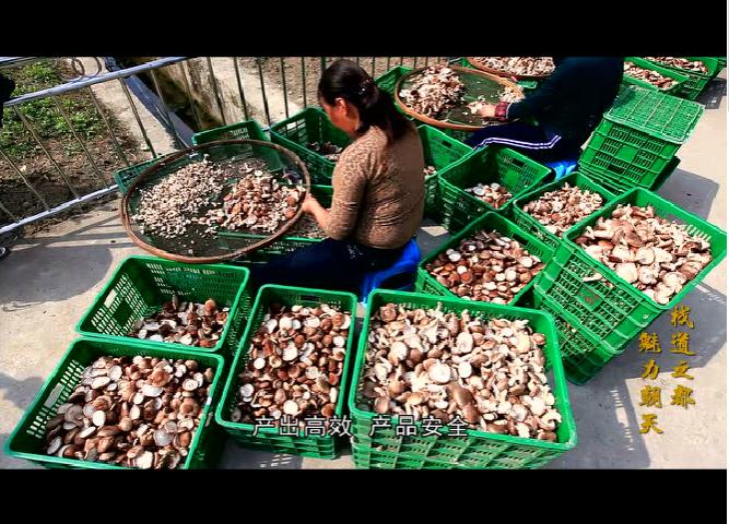 東方龍商務(wù)與四川廣元朝天區(qū)達(dá)成委托招商引資合作 東方龍商務(wù)與四川廣元朝天區(qū)達(dá)成委托招商引資合作