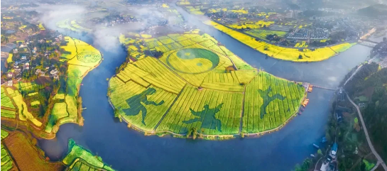 全力助推重慶潼南高新區(qū)委托招商引資，大力打造“6+1”產(chǎn)業(yè)集群！