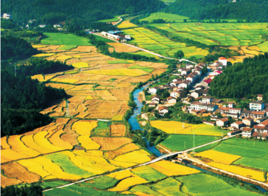 集團全力助推江西撫州資溪縣委托招商引資，加速創(chuàng)建生態(tài)旅游強縣