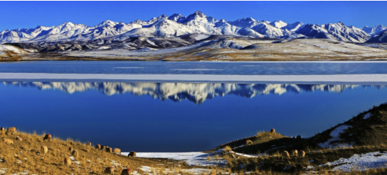 集團(tuán)助力甘肅省金昌經(jīng)濟(jì)技術(shù)開發(fā)區(qū)委托招商引資，推動(dòng)主導(dǎo)產(chǎn)業(yè)轉(zhuǎn)型發(fā)展