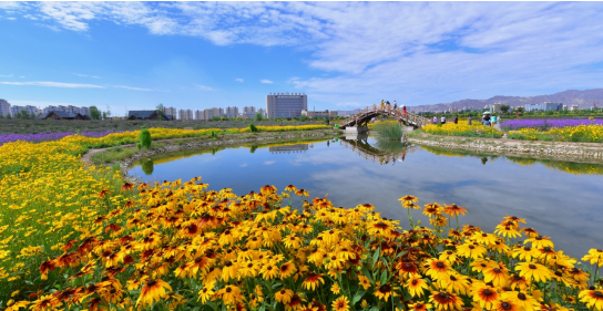 集團(tuán)助力甘肅省金昌經(jīng)濟(jì)技術(shù)開發(fā)區(qū)委托招商引資，推動(dòng)主導(dǎo)產(chǎn)業(yè)轉(zhuǎn)型發(fā)展