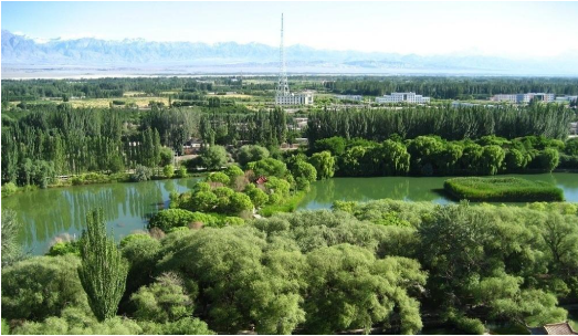 東方龍商務(wù)集團(tuán)助力新疆烏什縣委托招商引資，推進(jìn)產(chǎn)業(yè)發(fā)展集聚