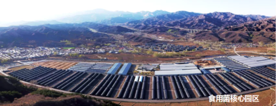 集團(tuán)全力助推河北阜平經(jīng)濟(jì)開(kāi)發(fā)區(qū)委托招商引資，攜手打造多元化產(chǎn)業(yè)集群