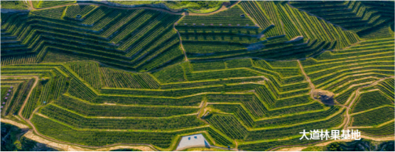 集團(tuán)全力助推河北阜平經(jīng)濟(jì)開(kāi)發(fā)區(qū)委托招商引資，攜手打造多元化產(chǎn)業(yè)集群