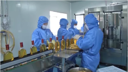 集團全力助推吉林省通化市輝南縣委托招商引資，做大做強四大特色產業(yè)集群