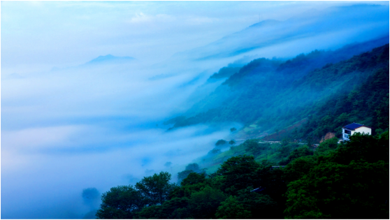 集團(tuán)全力助推甘肅隴南康縣委托招商引資，以綠色發(fā)展推動(dòng)鄉(xiāng)村振興
