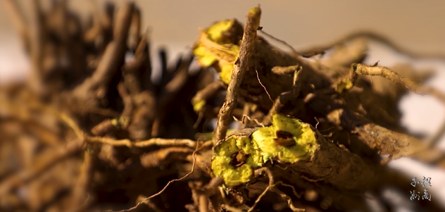 集團全力助推陜西榆林子洲縣委托招商引資，打造特色產(chǎn)業(yè)集聚地